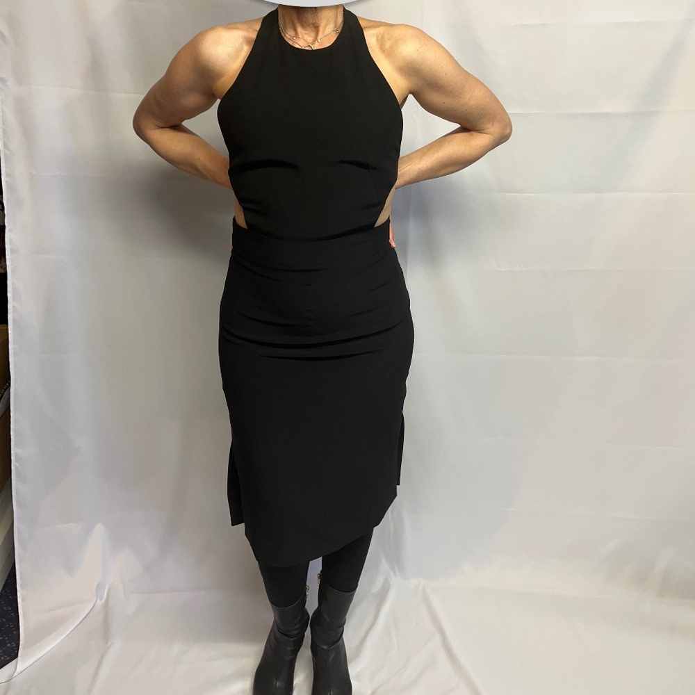 Sexy Alexander McQueen Dress